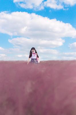 士兵突击电视剧全集免费观看